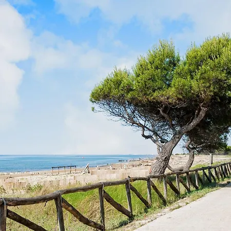 Διαμέρισμα Modern Coastal Μπιμπιόνε